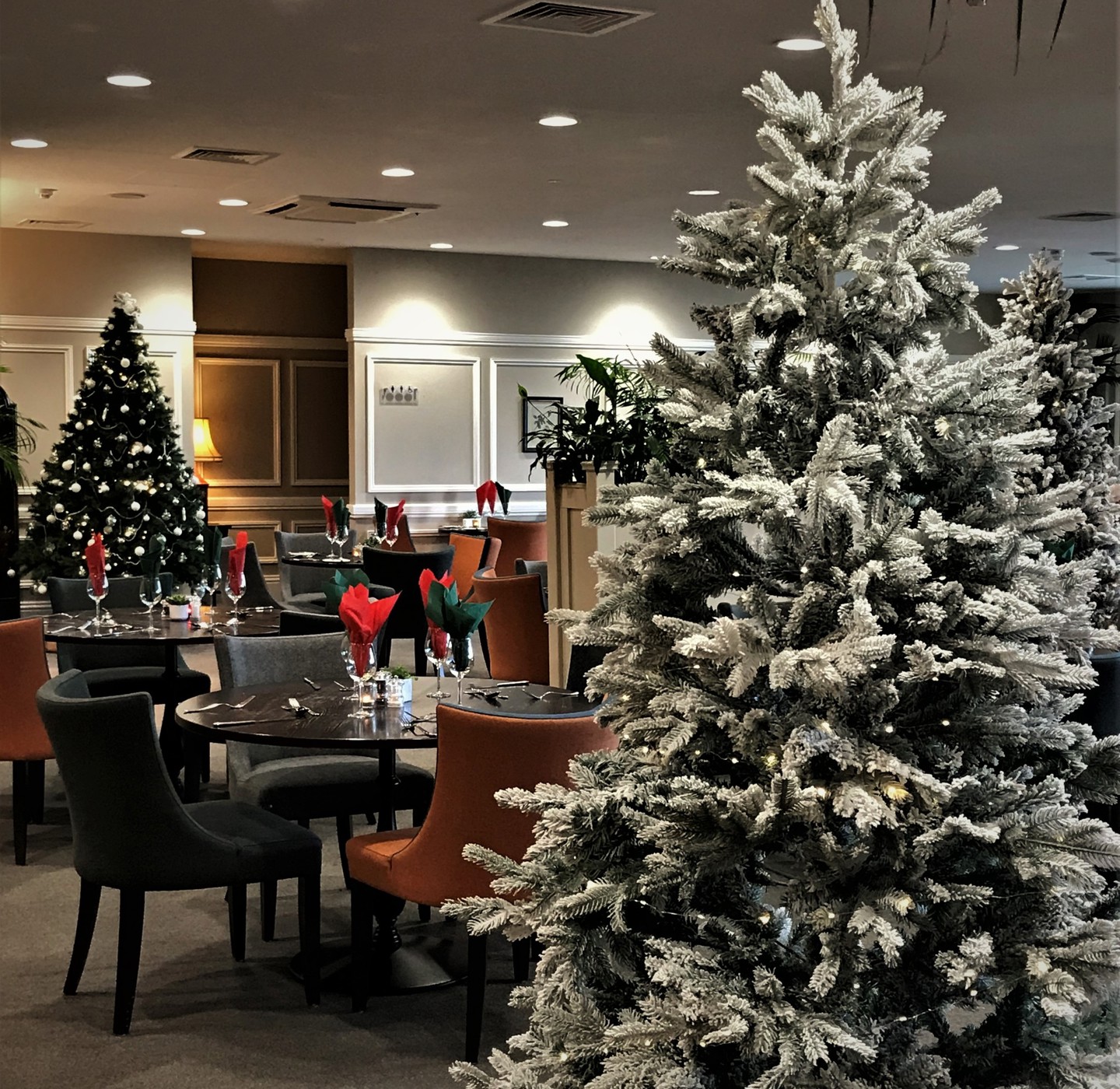Christmas 2022 Festive Dining