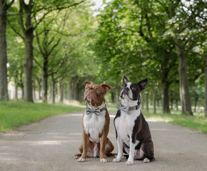 Created By The Ridleys 2