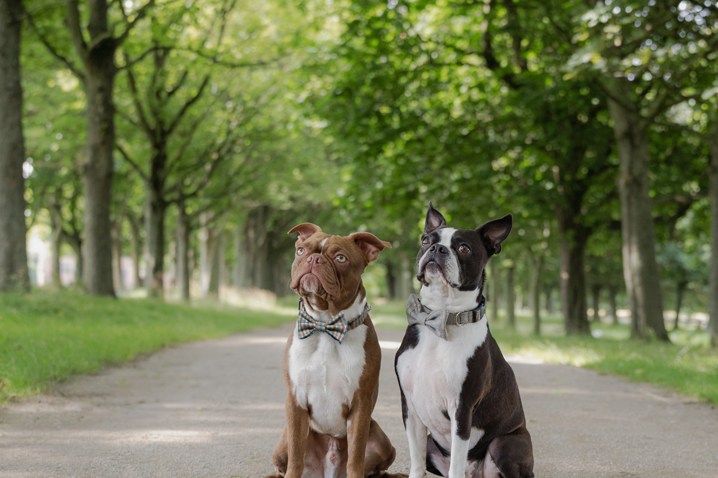 Created By The Ridleys 2