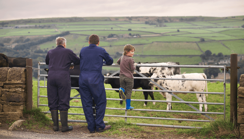Two-farmers-and-a-young-boy-standing-by-a-field-gate-overlooking-cattle-and-green-rolling-farmland.png