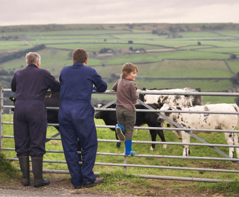 Two-farmers-and-a-young-boy-standing-by-a-field-gate-overlooking-cattle-and-green-rolling-farmland.png