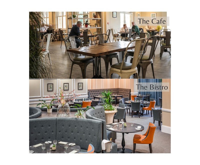 Cafe Bistro Collage (1)