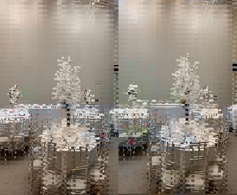 284432900 355681209965672 2127743738589654521 N