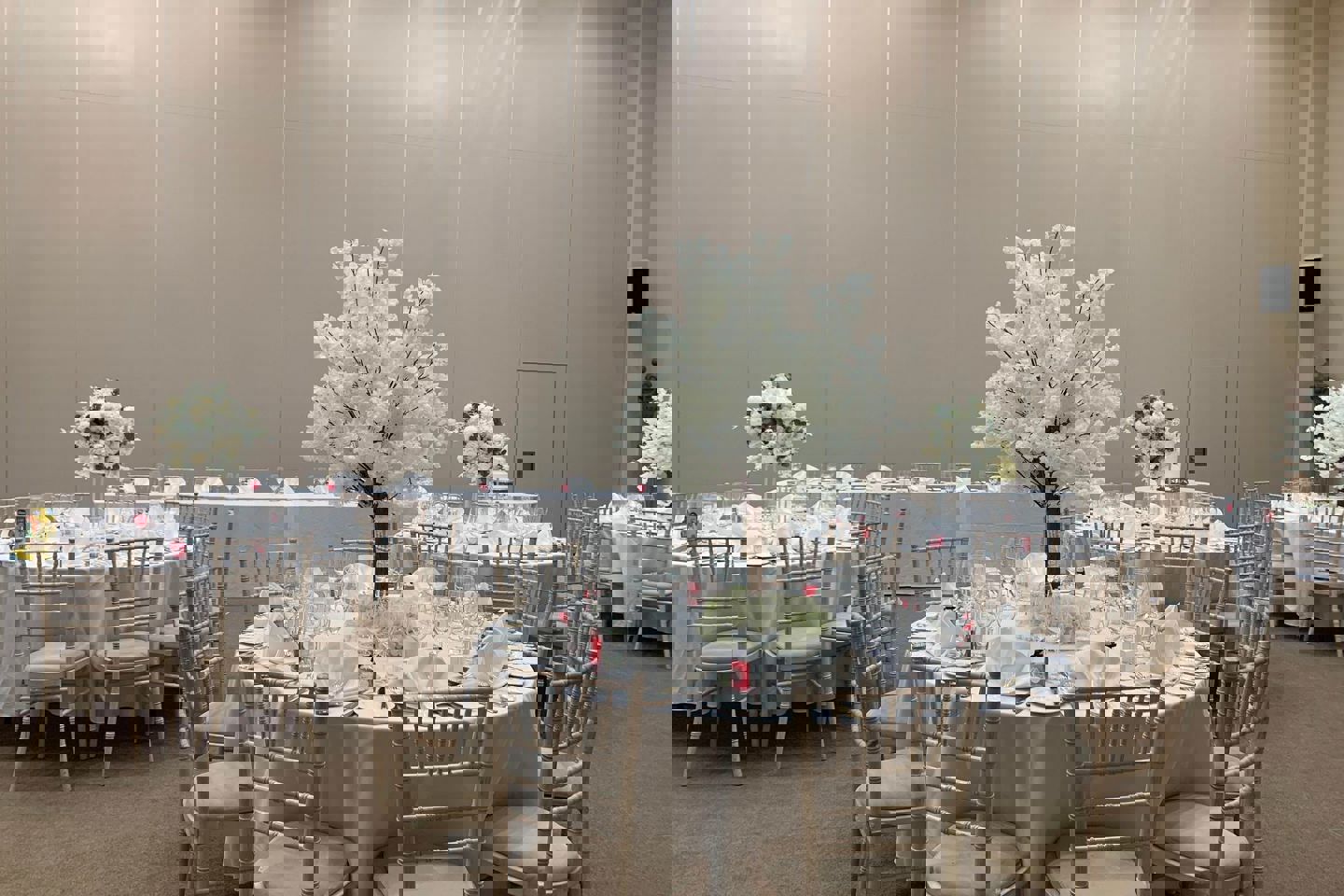 284432900 355681209965672 2127743738589654521 N