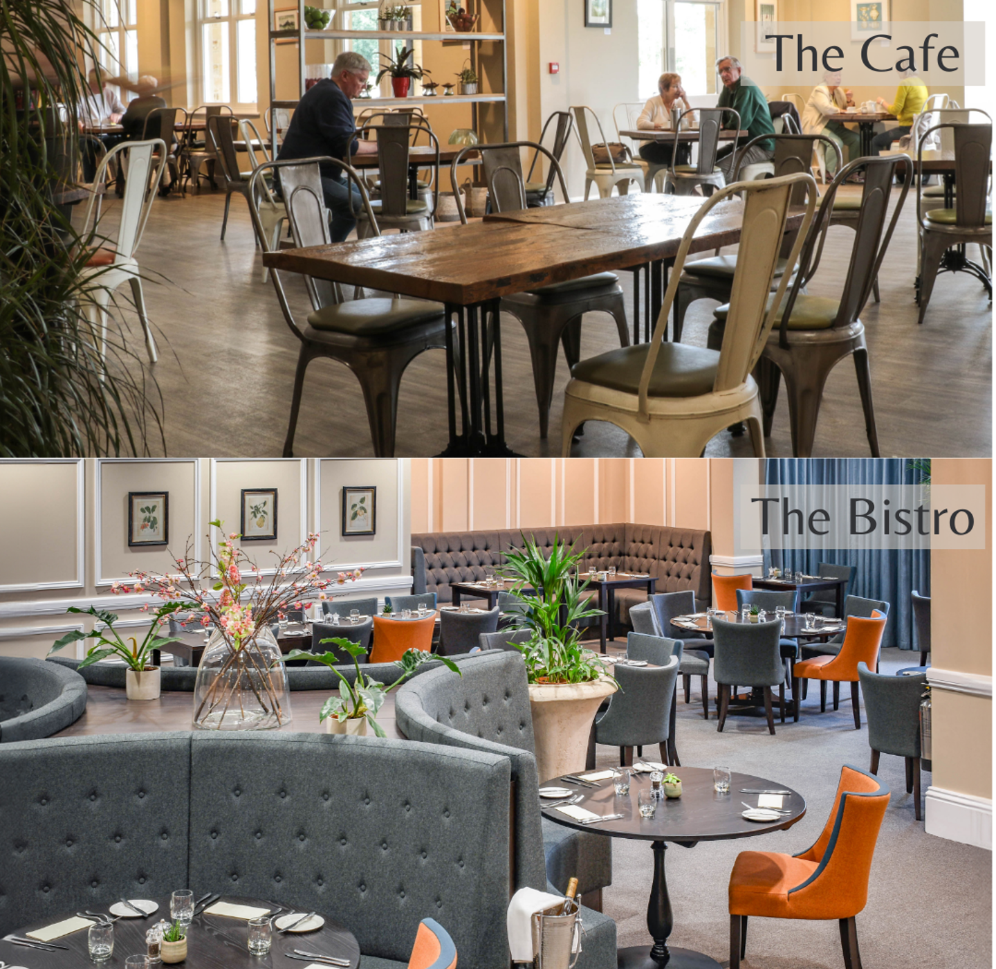 Cafe And Bistro Collage