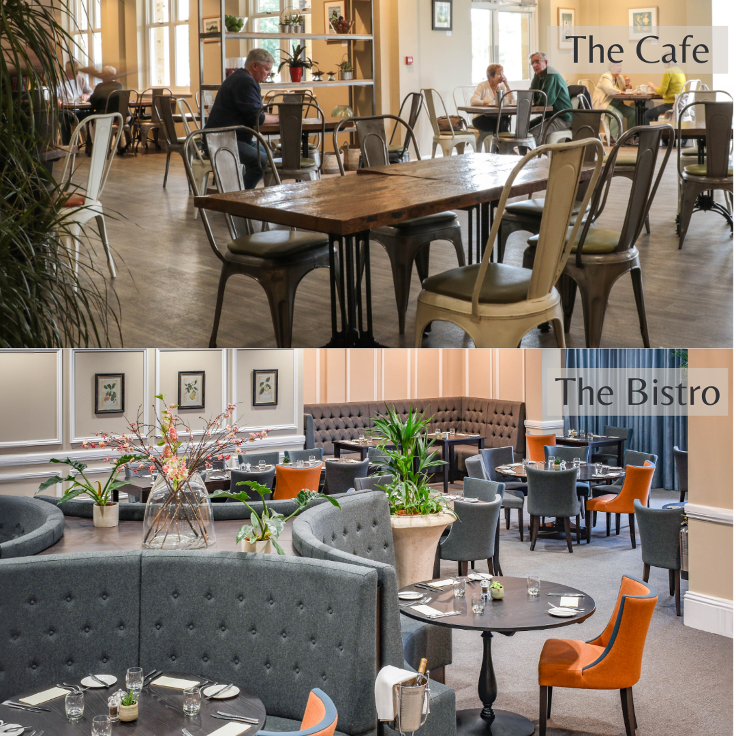 Cafe And Bistro Collage