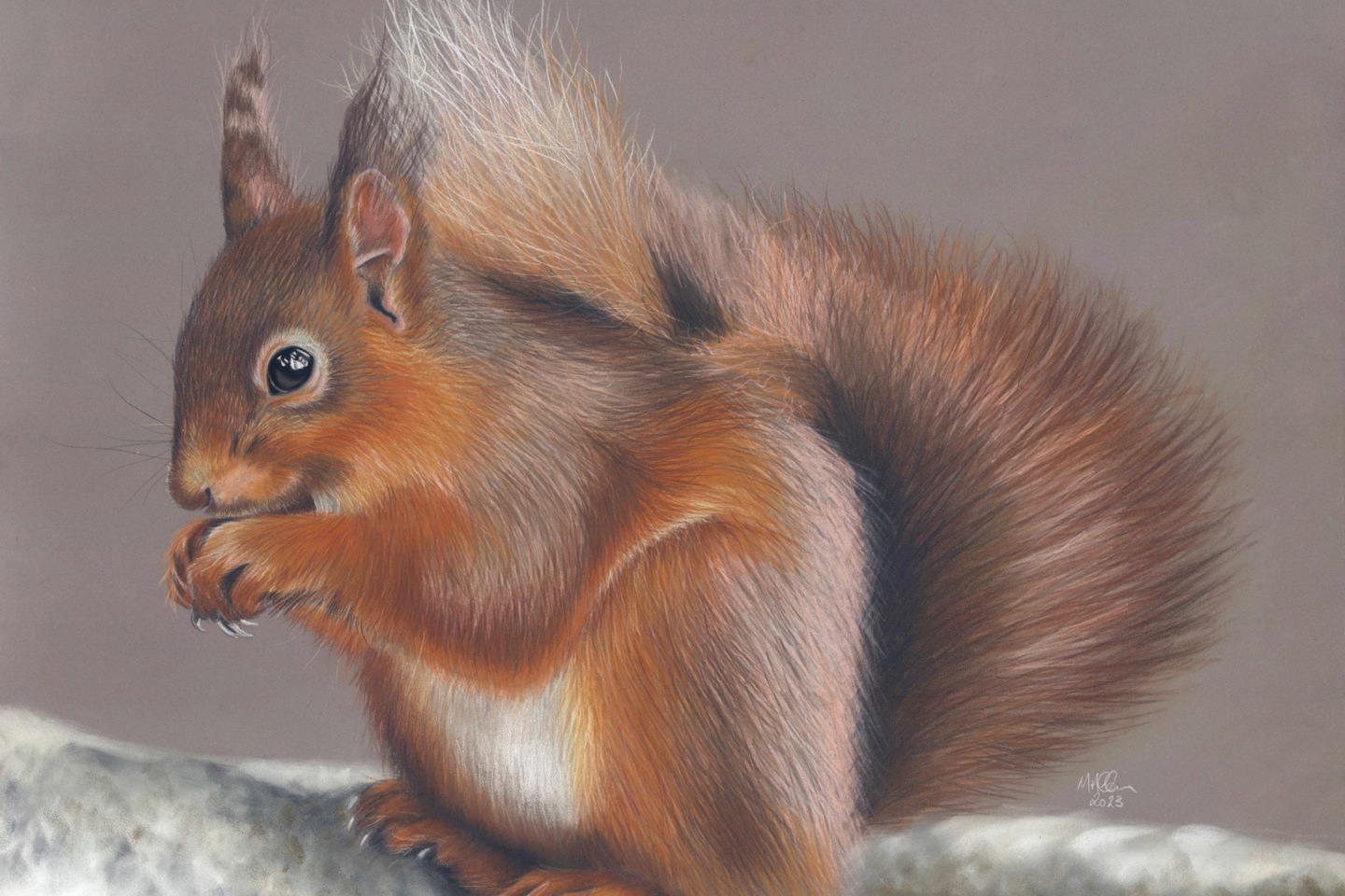 Little Ears At Forest How By Mandy Allan