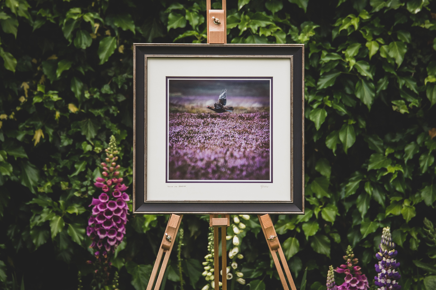 Above The Heather Framed