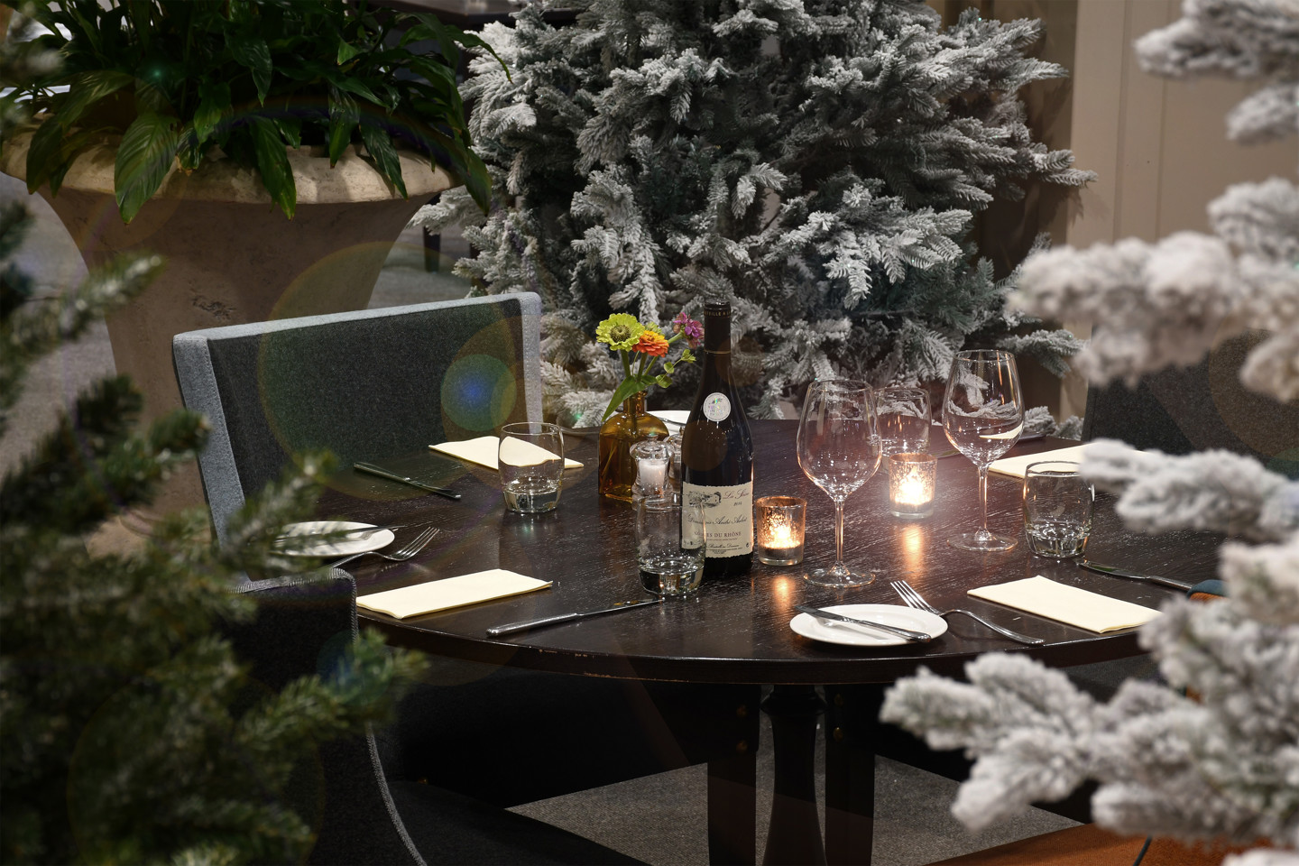 Festive Dining 2