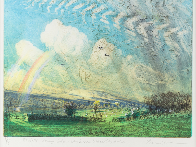 Penhill Spring Below Leyburn Wensleydale (1)