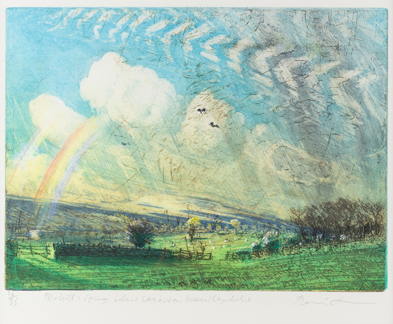 Penhill Spring Below Leyburn Wensleydale (1)