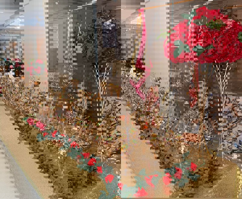 280395672 1047205305883569 5627360205167516321 N