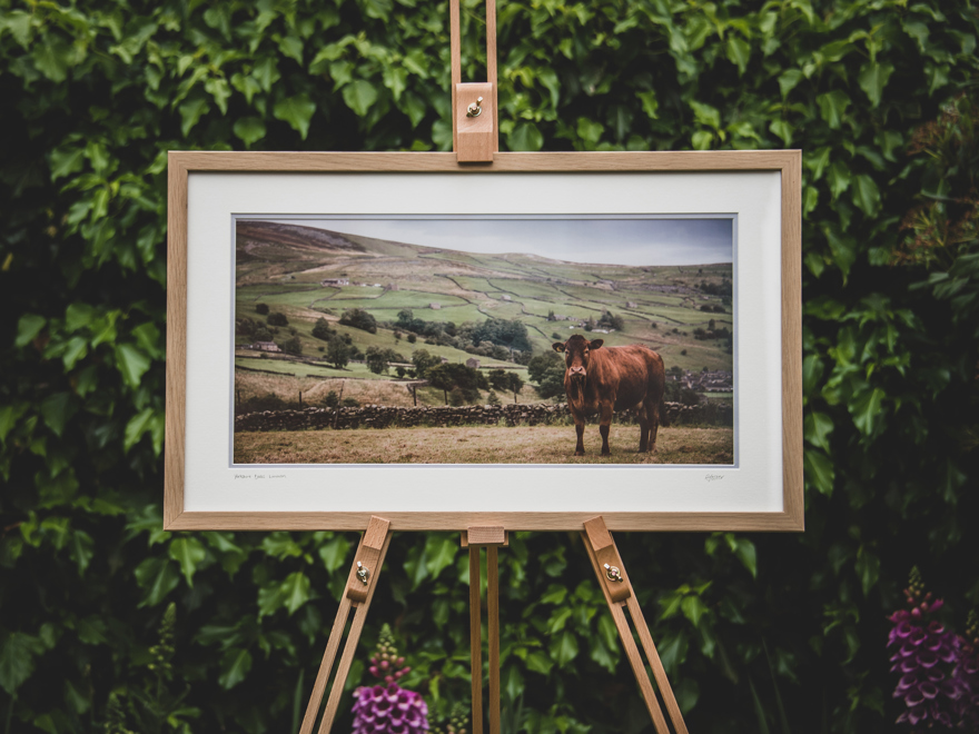 YD Limmy Framed Large