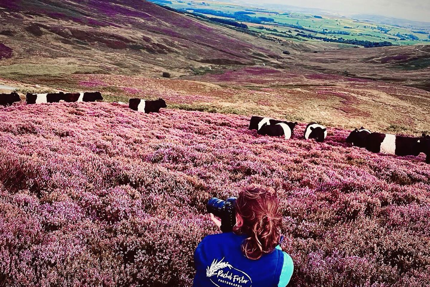 535058920 18522029569007696 5415739323768001116 N