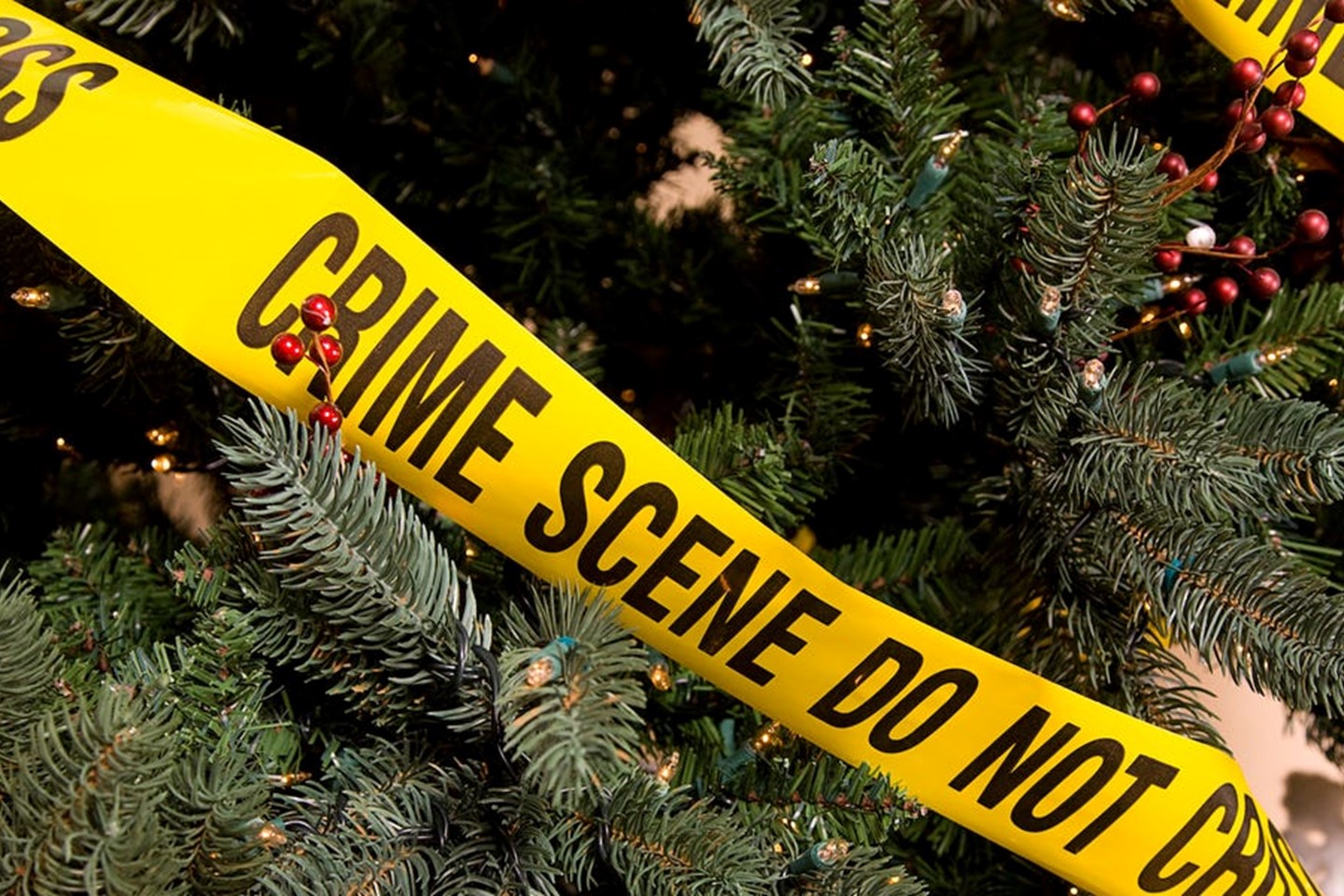 'Crime scene do not cross' sign draped across a christmas tree, with red berries 