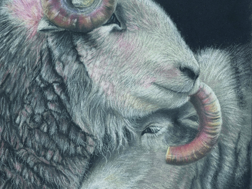 Stronger Together By Mandy Allan