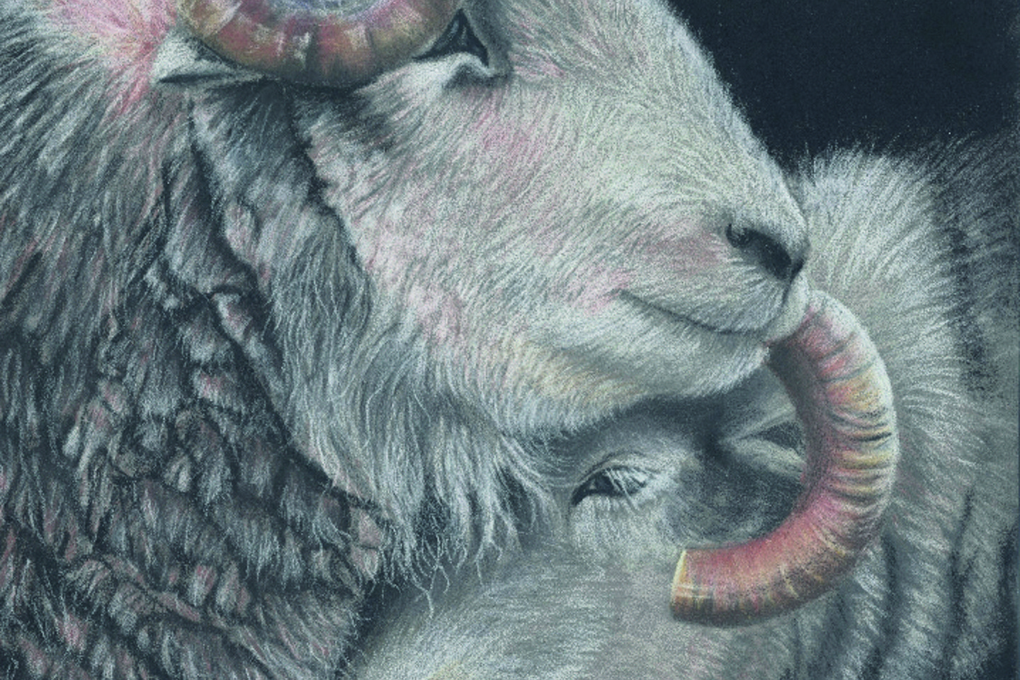 Stronger Together By Mandy Allan