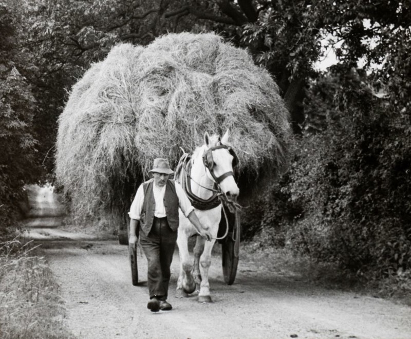 Harold Bryce Thomson: The Haycart