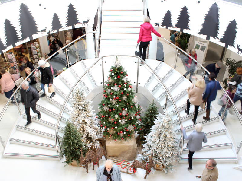 Winter Wonderland 2023 (3)